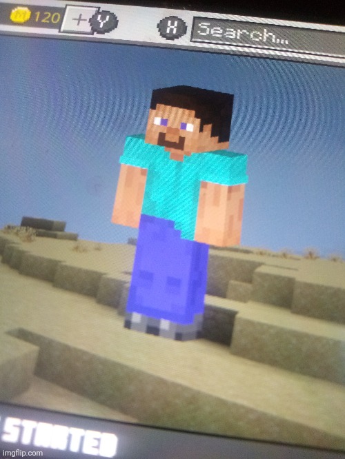 Aetherpigion build request | image tagged in minecraft | made w/ Imgflip meme maker