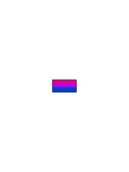 bi flag Blank Meme Template