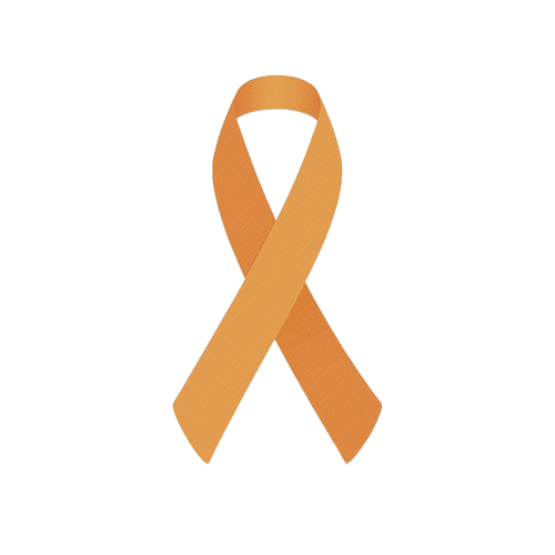 High Quality ribbon Blank Meme Template