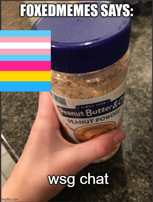 foxedmemes template | wsg chat | image tagged in foxedmemes template is back | made w/ Imgflip meme maker