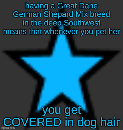I brush her every day too ;-; | having a Great Dane German Shepard Mix breed in the deep Southwest means that whenever you pet her; you get COVERED in dog hair | image tagged in bluestar | made w/ Imgflip meme maker