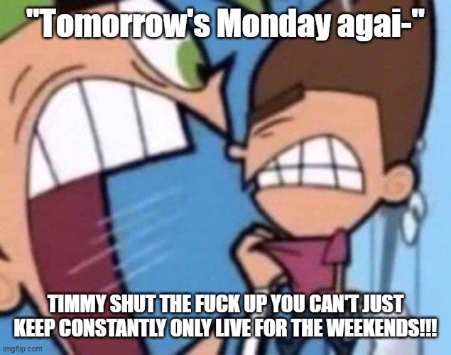 Instagram be like: | "Tomorrow's Monday agai-"; TIMMY SHUT THE FUCK UP YOU CAN'T JUST KEEP CONSTANTLY ONLY LIVE FOR THE WEEKENDS!!! | image tagged in cosmo yelling at timmy | made w/ Imgflip meme maker
