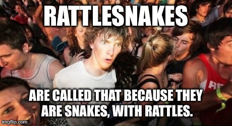 Sudden Clarity Clarence | RATTLESNAKES ARE CALLED THAT BECAUSE THEY ARE SNAKES, WITH RATTLES. | image tagged in memes,sudden clarity clarence,AdviceAnimals | made w/ Imgflip meme maker