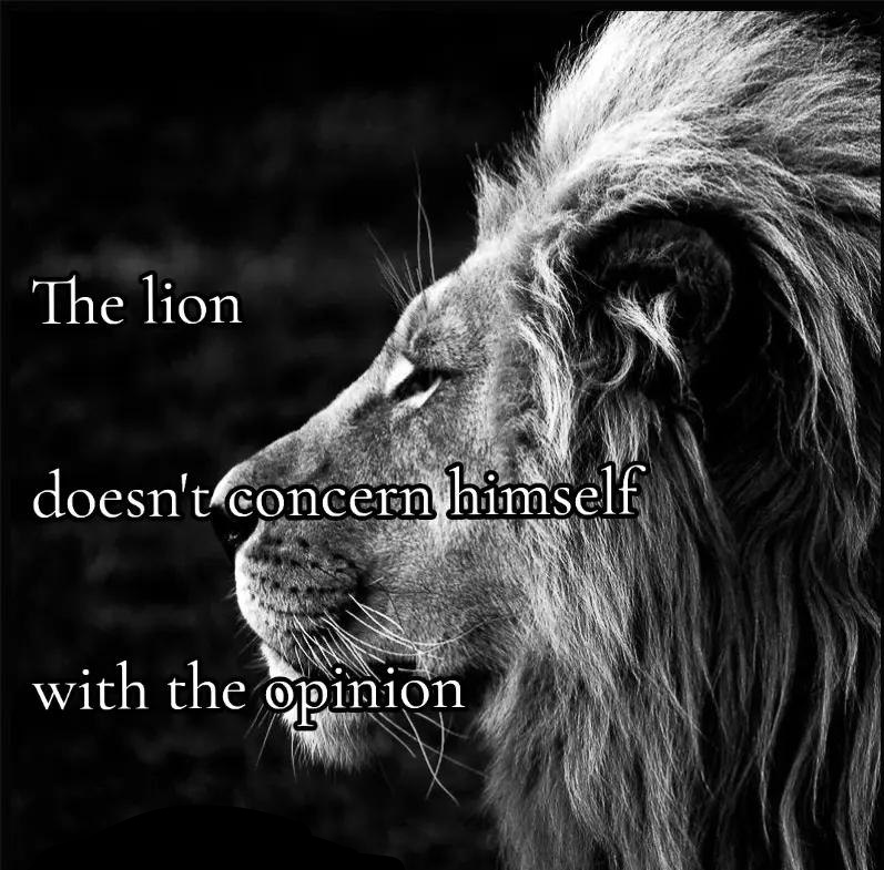 High Quality The Lion Blank Meme Template