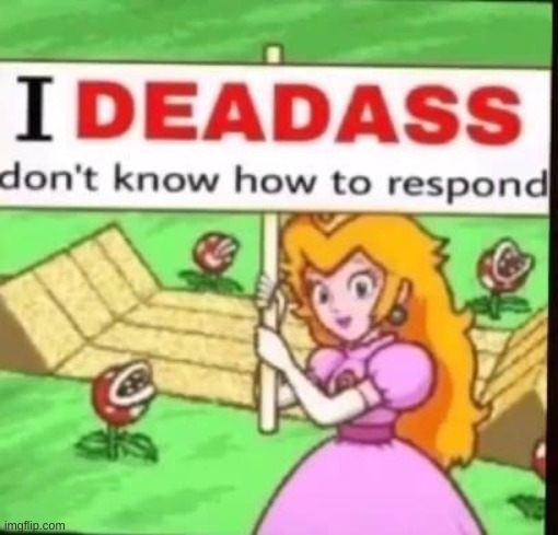 I deadass don’t know how to respond | image tagged in i deadass don t know how to respond | made w/ Imgflip meme maker
