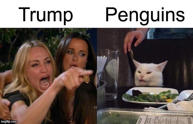 POV: Trump walks in to you watching the Madagascar franchise | image tagged in memes,woman yelling at cat,funny,funny memes,donald trump | made w/ Imgflip meme maker