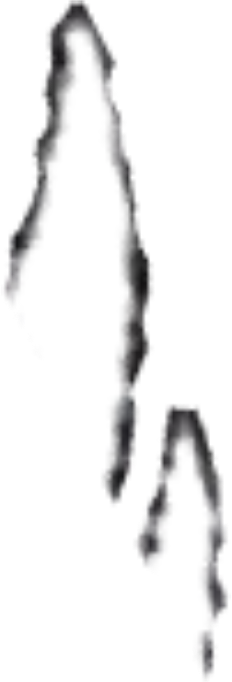 Freddie Schrödinger and Bingo Heeler horns Blank Meme Template