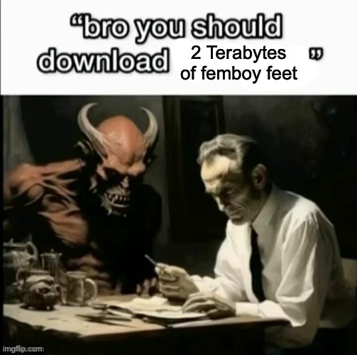 Bro you should download x | 2 Terabytes of femboy feet | image tagged in bro you should download x | made w/ Imgflip meme maker
