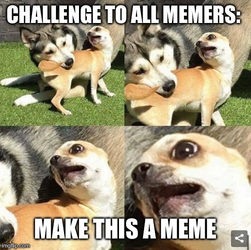 Make it a meme Blank Meme Template