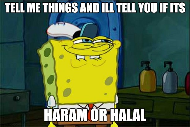Don't You Squidward | TELL ME THINGS AND ILL TELL YOU IF ITS; HARAM OR HALAL | image tagged in memes,don't you squidward | made w/ Imgflip meme maker