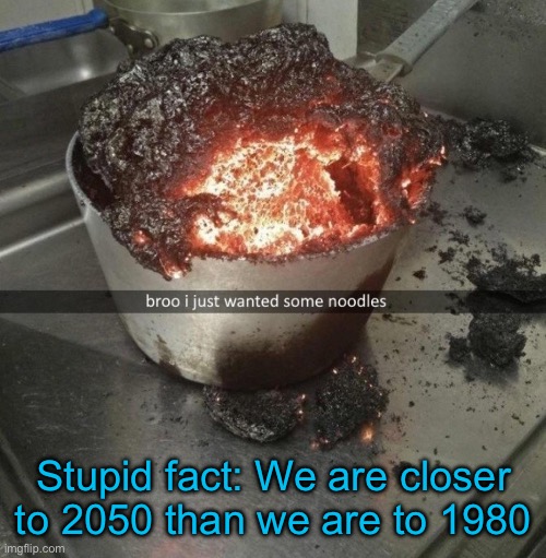 Stupid fact: We are closer to 2050 than we are to 1980 | made w/ Imgflip meme maker