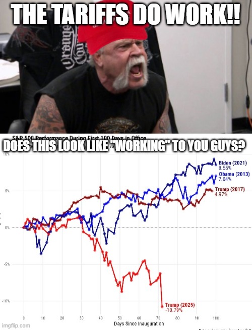 No | THE TARIFFS DO WORK!! DOES THIS LOOK LIKE "WORKING" TO YOU GUYS? | image tagged in maga idiot,no | made w/ Imgflip meme maker