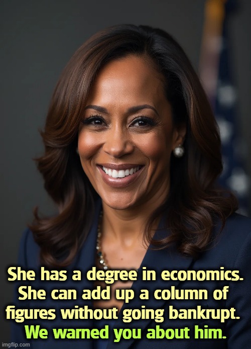 She has a degree in economics. She can add up a column of 
figures without going bankrupt. We warned you about him. | image tagged in kamala harris,smart,sane,economics,trump,incompetence | made w/ Imgflip meme maker