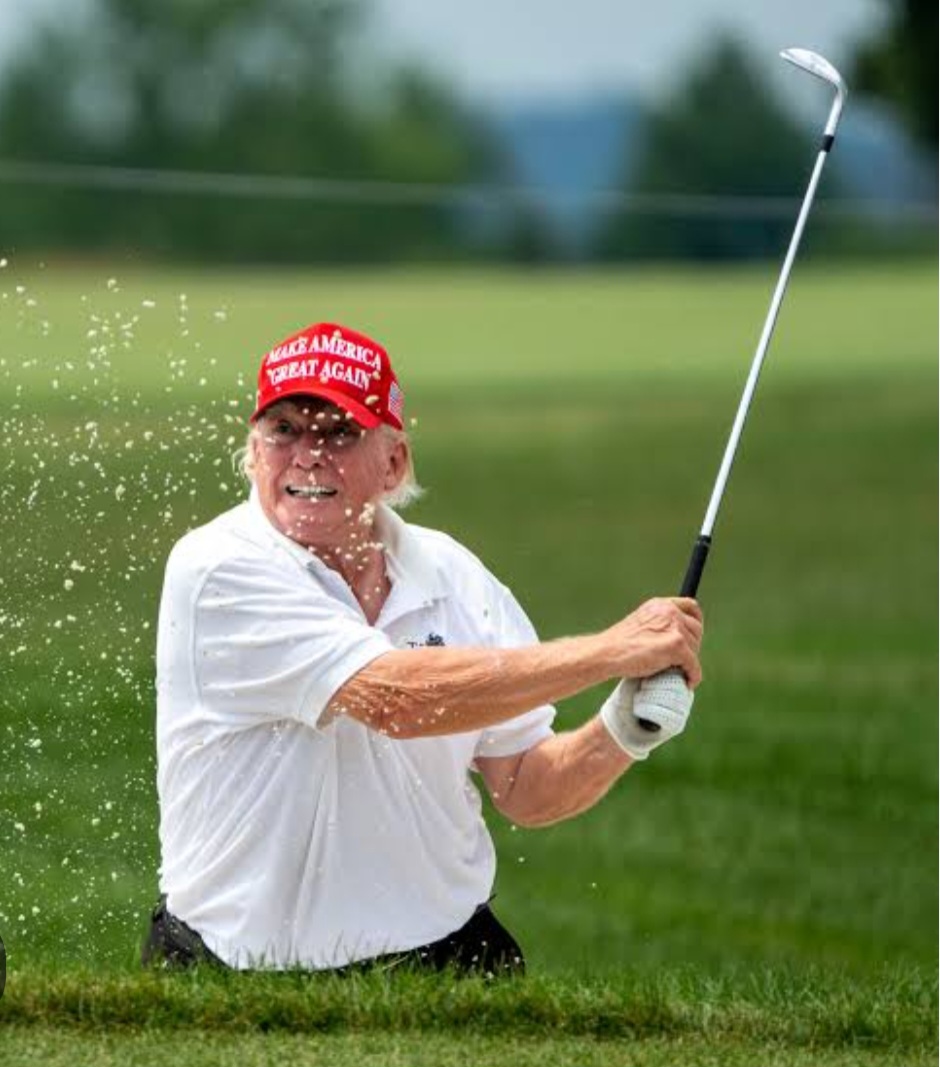 T golfing Blank Meme Template