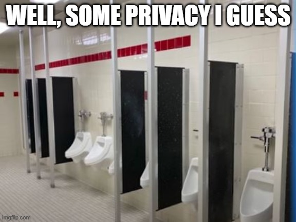 Some Privacy | WELL, SOME PRIVACY I GUESS | image tagged in you had one job | made w/ Imgflip meme maker