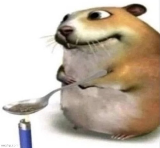 The chomik | image tagged in the chomik | made w/ Imgflip meme maker