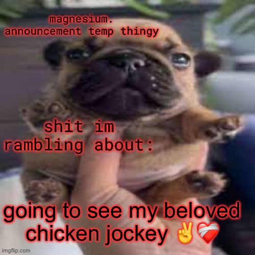 pug temp | going to see my beloved chicken jockey ✌️❤️‍🩹 | image tagged in pug temp | made w/ Imgflip meme maker