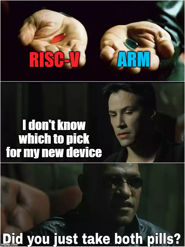 Did you just take both pills? | ARM; RISC-V; I don't know which to pick for my new device | image tagged in did you just take both pills | made w/ Imgflip meme maker