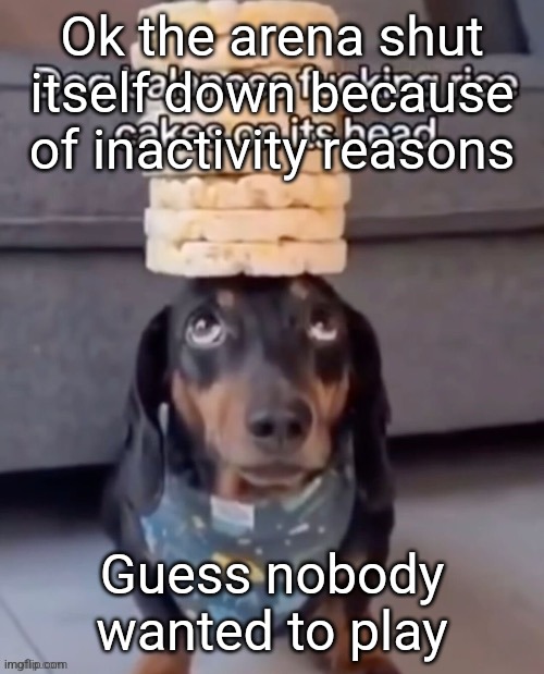 sad | Ok the arena shut itself down because of inactivity reasons; Guess nobody wanted to play | image tagged in dog balances rice cakes on its head | made w/ Imgflip meme maker