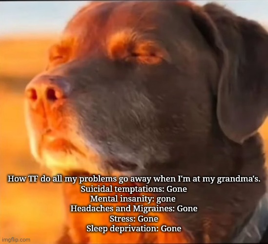 i'm cooked | How TF do all my problems go away when I'm at my grandma's.
Suicidal temptations: Gone
Mental insanity: gone 
Headaches and Migraines: Gone
Stress: Gone
Sleep deprivation: Gone | image tagged in i'm cooked | made w/ Imgflip meme maker