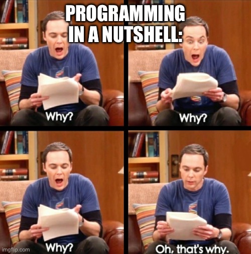 Why, why, why, Oh that's why | PROGRAMMING IN A NUTSHELL: | image tagged in why why why oh that's why | made w/ Imgflip meme maker