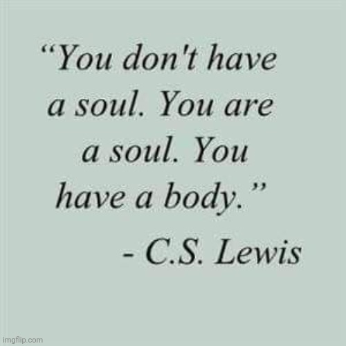 True | image tagged in soul,body,spirituality,humanity,memes,what if you wanted to go to heaven | made w/ Imgflip meme maker