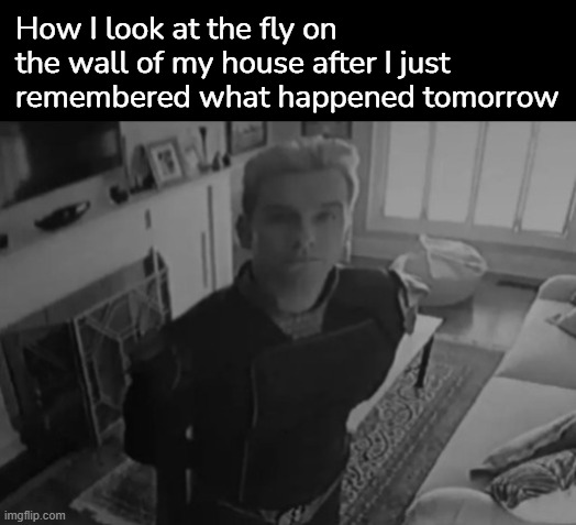 Homelander staring | How I look at the fly on the wall of my house after I just remembered what happened tomorrow | image tagged in homelander staring | made w/ Imgflip meme maker