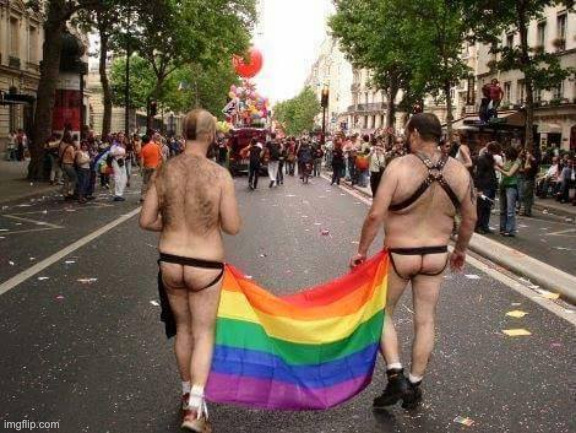 Gay Pride | image tagged in gay pride | made w/ Imgflip meme maker