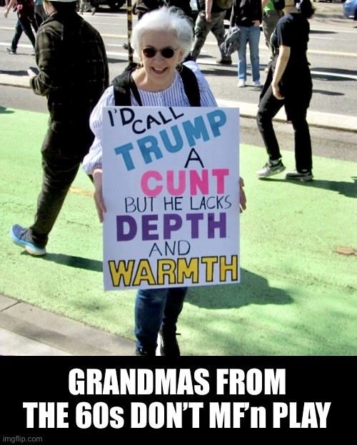 Protester - Granny Don’t Play | GRANDMAS FROM THE 60s DON’T MF’n PLAY | image tagged in protester,april 5th,impeachment,impeach trump,trump,donald trump | made w/ Imgflip meme maker