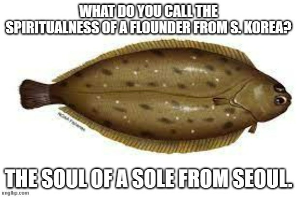 What do you call the spirituality of a flounder from South Korea?  - funny - | image tagged in funny,fun,fish,south korea,spiritual,humor | made w/ Imgflip meme maker