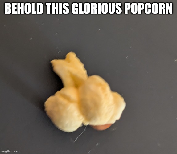 Penis popcorn | BEHOLD THIS GLORIOUS POPCORN | image tagged in penis jokes,popcorn | made w/ Imgflip meme maker
