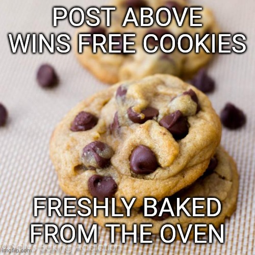 Punny Cookies | POST ABOVE WINS FREE COOKIES; FRESHLY BAKED FROM THE OVEN | image tagged in punny cookies | made w/ Imgflip meme maker