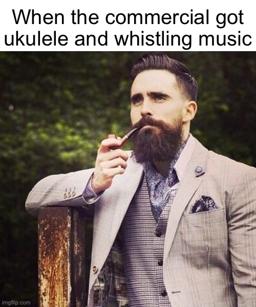 HIPSTER BEARD | When the commercial got
ukulele and whistling music | image tagged in hipster beard | made w/ Imgflip meme maker