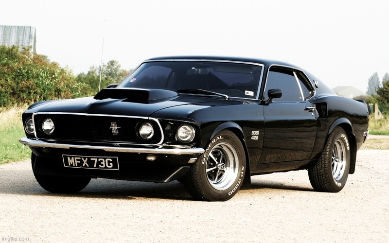 mustang | image tagged in mustang | made w/ Imgflip meme maker