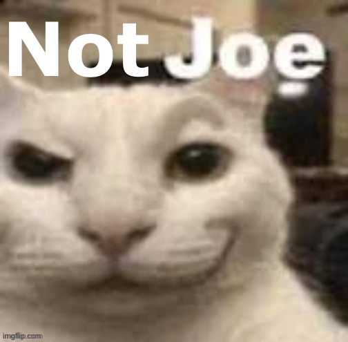Not | made w/ Imgflip meme maker