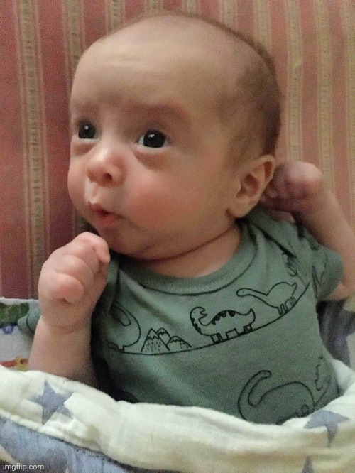 Intrigued | image tagged in intrigued | made w/ Imgflip meme maker