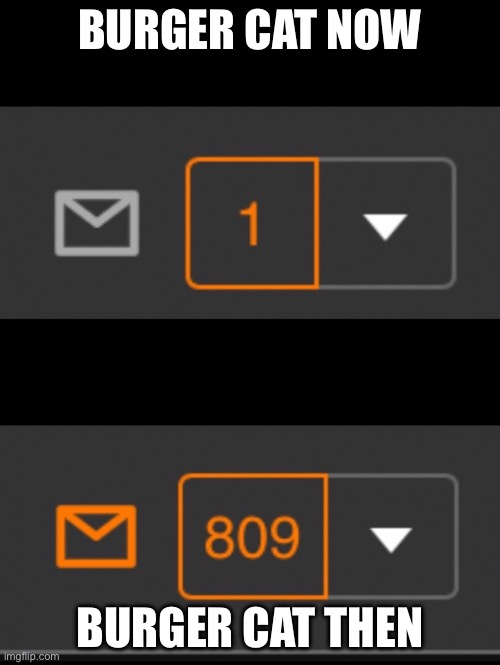 1 notification vs. 809 notifications with message | BURGER CAT NOW; BURGER CAT THEN | image tagged in 1 notification vs 809 notifications with message | made w/ Imgflip meme maker