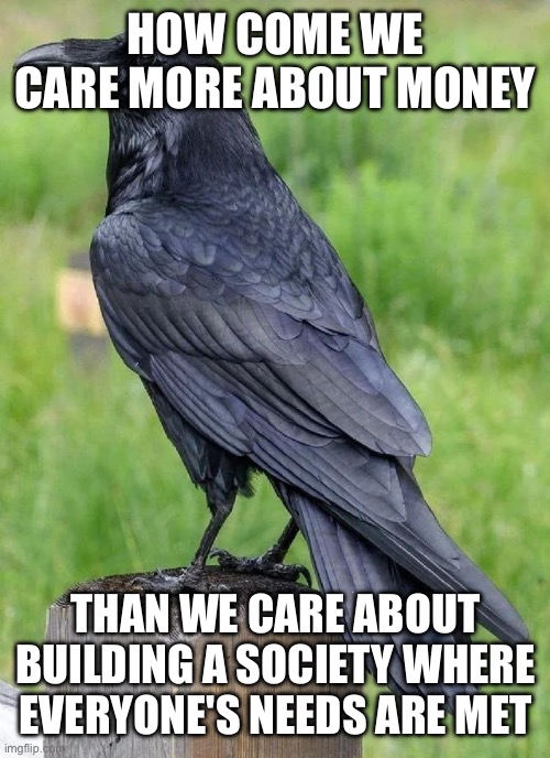 Why | HOW COME WE CARE MORE ABOUT MONEY; THAN WE CARE ABOUT BUILDING A SOCIETY WHERE EVERYONE'S NEEDS ARE MET | image tagged in raven | made w/ Imgflip meme maker