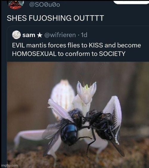 we live in a society | made w/ Imgflip meme maker