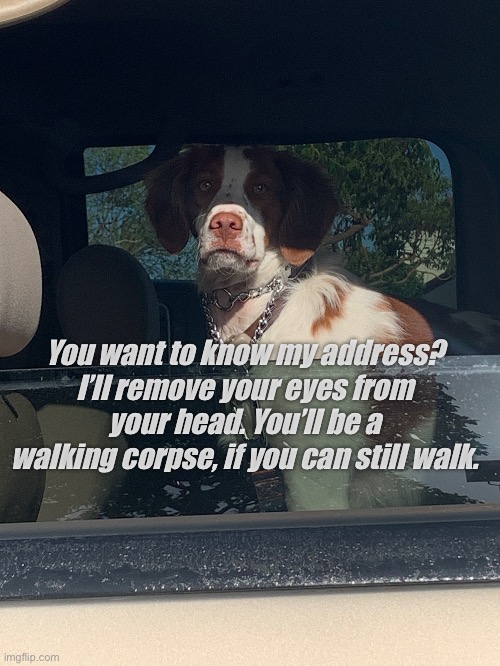H | You want to know my address? I’ll remove your eyes from your head. You’ll be a walking corpse, if you can still walk. | image tagged in funny | made w/ Imgflip meme maker