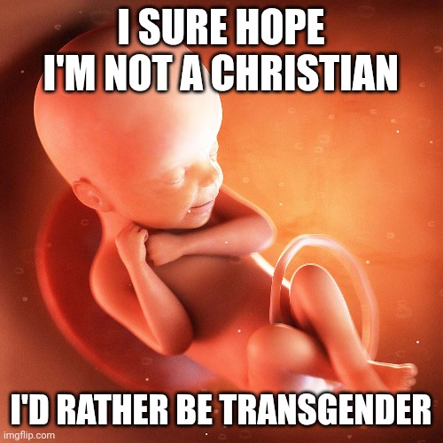 White Male Erasure Feminist Fetus | I SURE HOPE I'M NOT A CHRISTIAN; I'D RATHER BE TRANSGENDER | image tagged in feminism | made w/ Imgflip meme maker