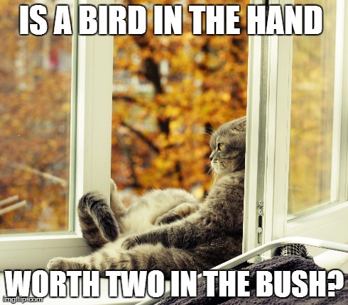 IS A BIRD IN THE HAND  WORTH TWO IN THE BUSH? | made w/ Imgflip meme maker