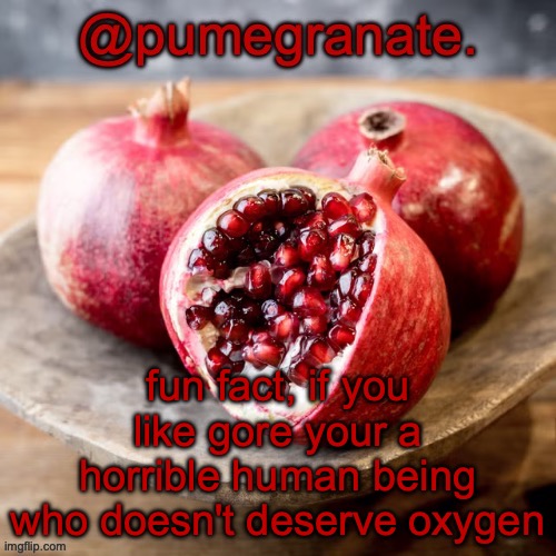 moderately lazy temp | fun fact, if you like gore your a horrible human being who doesn't deserve oxygen | image tagged in moderately lazy temp | made w/ Imgflip meme maker
