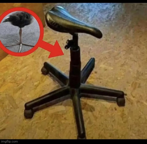 pekuko chair Blank Meme Template