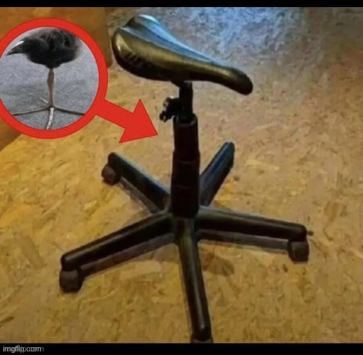 pekuko chair | image tagged in pekuko chair | made w/ Imgflip meme maker