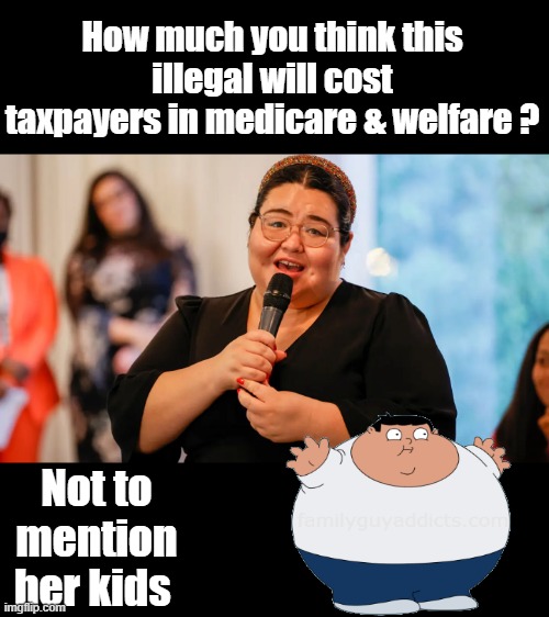 How much you think this illegal will cost taxpayers in medicare & welfare ? Not to mention her kids | made w/ Imgflip meme maker