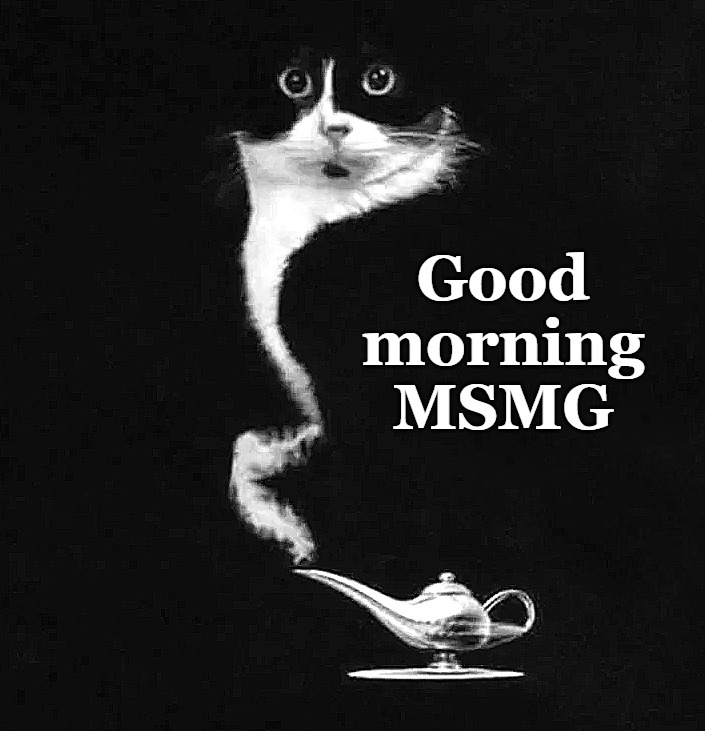 Good morning MSMG | made w/ Imgflip meme maker