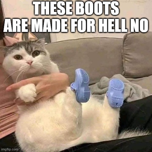 Cat Boots | THESE BOOTS ARE MADE FOR HELL NO | image tagged in cats | made w/ Imgflip meme maker