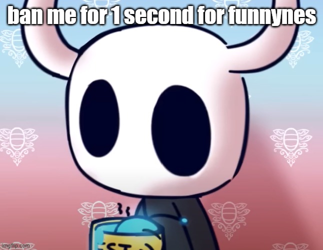 bollow knight | ban me for 1 second for funnynes | image tagged in bollow knight | made w/ Imgflip meme maker