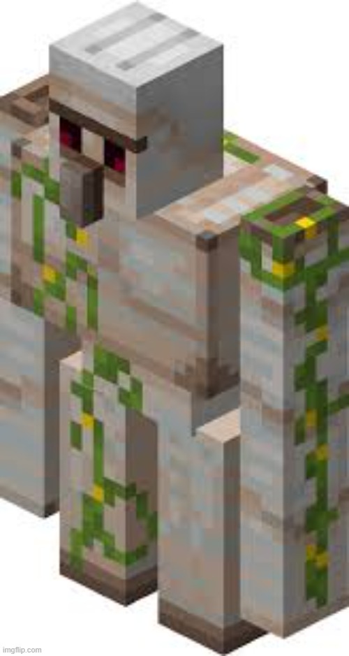 Iron golem | image tagged in iron golem | made w/ Imgflip meme maker